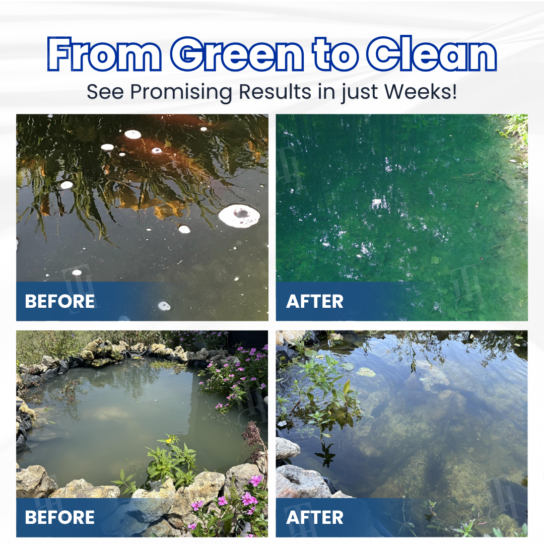 🌟 Official Store |⏱️ Crystal Clear in 24 Hours! |  Aqua-Guardian Pro Formula