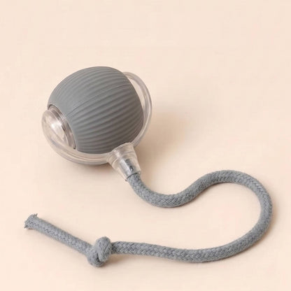 Vitalitysolutionmart™ - Ultimate Interactive Cat &amp; Dog Toy