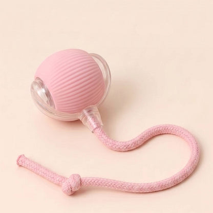Vitalitysolutionmart™ - Ultimate Interactive Cat &amp; Dog Toy