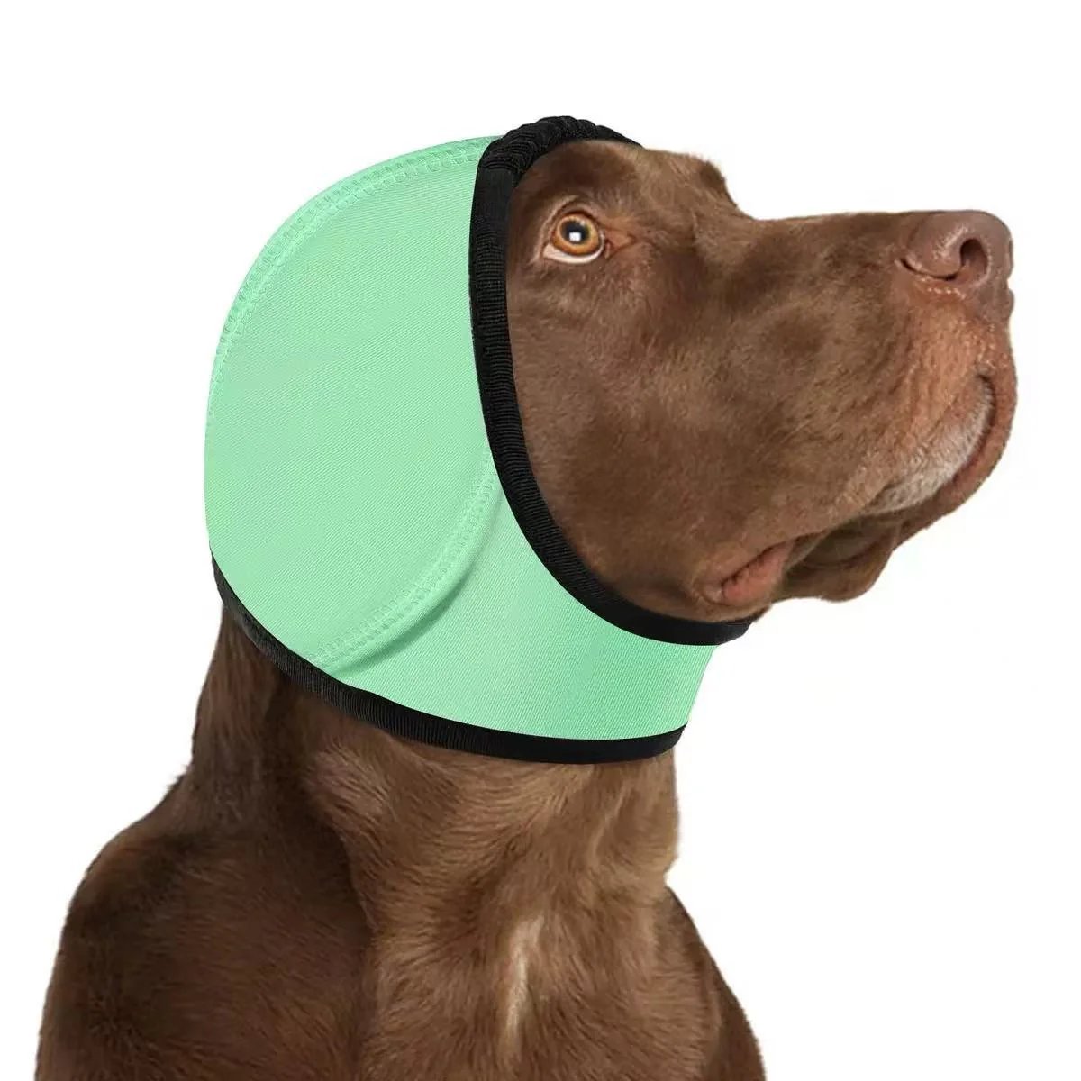 🔥 HOT SALE 49% OFF-Dog Calming Ear Wrap