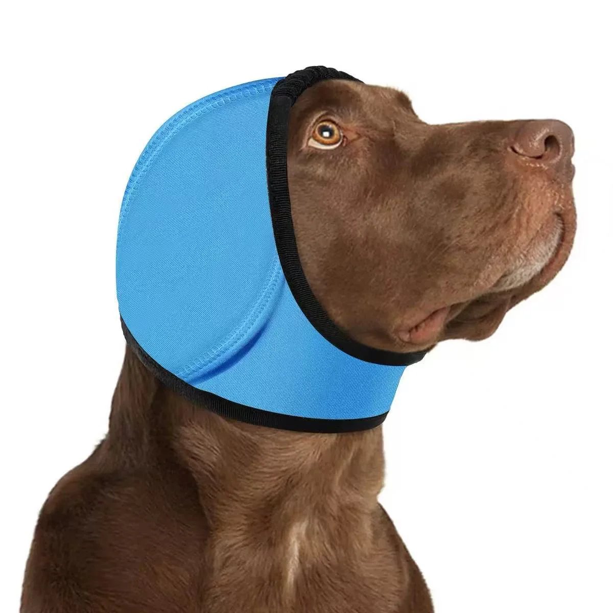 🔥 HOT SALE 49% OFF-Dog Calming Ear Wrap