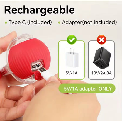 Vitalitysolutionmart™ - Ultimate Interactive Cat &amp; Dog Toy