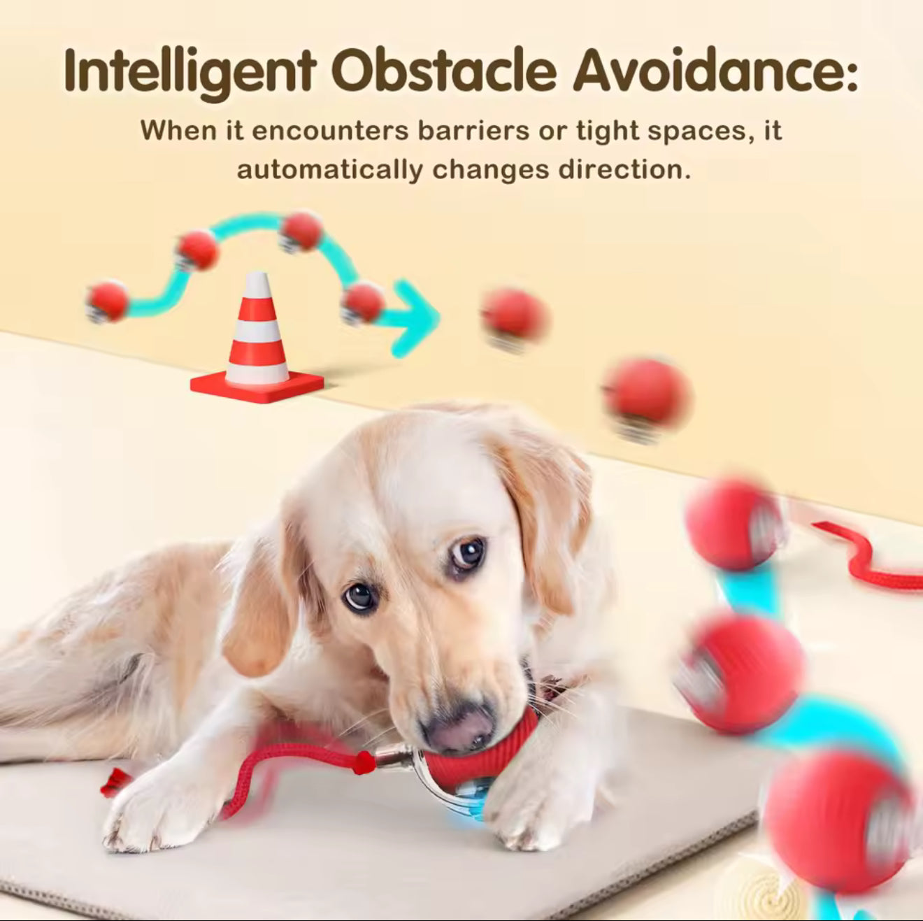 Vitalitysolutionmart™ - Ultimate Interactive Cat &amp; Dog Toy