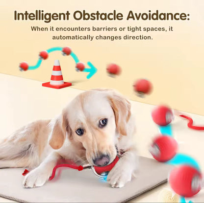 Vitalitysolutionmart™ - Ultimate Interactive Cat &amp; Dog Toy