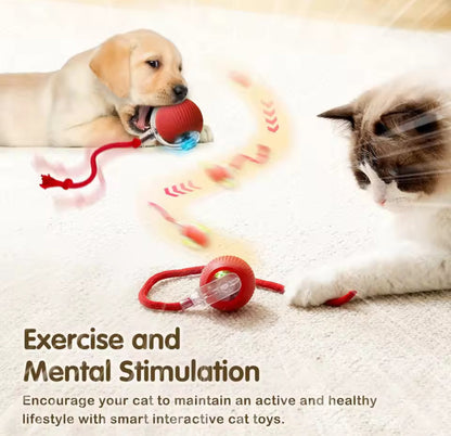 Vitalitysolutionmart™ - Ultimate Interactive Cat &amp; Dog Toy